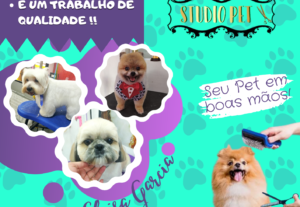 Eu vou criar a arte digital que vai abrilhantar sua marca.
