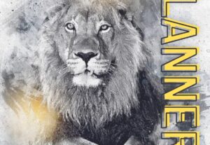 Eu vou Criar seus cartazes, banners e artes para redes socia...
