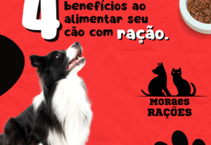 Eu vou Fazer um post profissional para o seu negócio.
