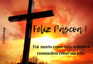 Eu vou fazer Design Gráfico ou Editar seu Vídeo ...