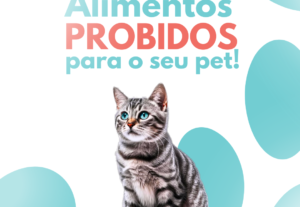 Eu vou criar posts profissionais para seu instagram e outros...