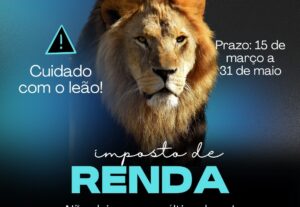 Eu vou Fazer sua Declaração de Imposto de Renda Otimizado