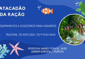 Eu vou fazer propaganda do seu produto/empresa