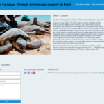Eu vou programar e desenvolver o site básico da sua empresa