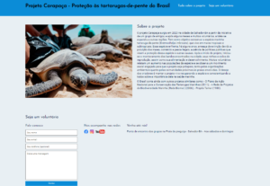 Eu vou programar e desenvolver o site básico da sua empresa