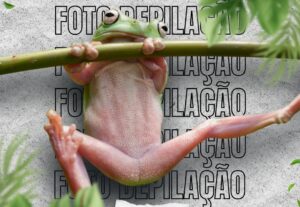 Eu vou criar artes para sua rede social.