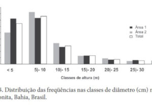 Eu vou fazer seus gráficos com perfeição.