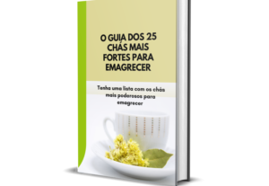 Eu vou fazer seu ebook completo em 48 horas