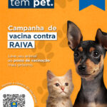 Eu vou criar a melhor publicação para a sua empresa