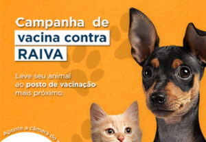 Eu vou criar a melhor publicação para a sua empresa