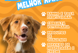 Eu vou fazer uma publicação impecável para seu negócio