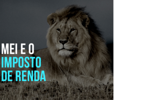 Eu vou fazer seu Irpf e seu Mei