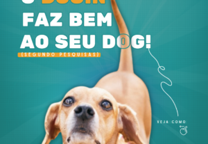 Eu vou fazer post para sua rede social, gere engajamento.