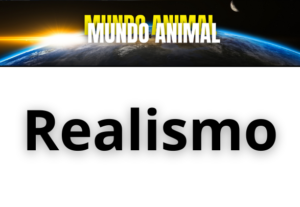 Eu vou editar e criar vídeo;