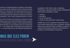 Eu vou fazer uma arte de carrossel apaixonante para você.