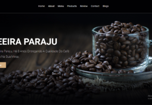 Eu vou Construir um site completo para seu negócio