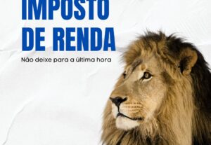Eu vou Entregar sua declaração de Imposto de Renda