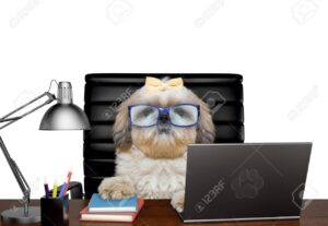 Eu vou fazer transcrições e-books artigos e copywriting
