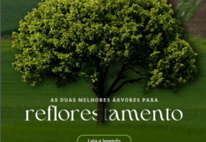 Eu vou criar artes para seu Instagram - 7 posts