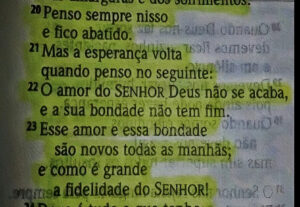 Eu vou fazer Serviço de Redação Personalizada