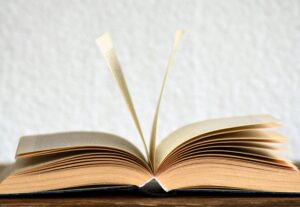 Eu vou revisar, digitar, editar e formatar seus textos
