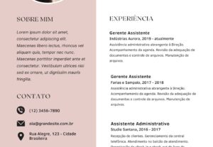 Eu vou fazer tradução do inglês para o português vice e vers...