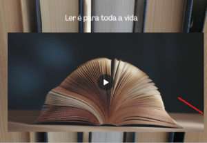 Eu vou fazer apresentações para você