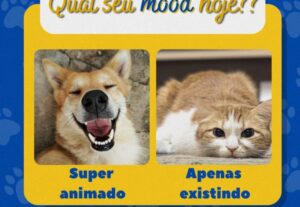 Eu vou criar uma arte para as suas redes