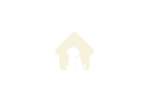Eu vou Fazer artes e/ou criativos