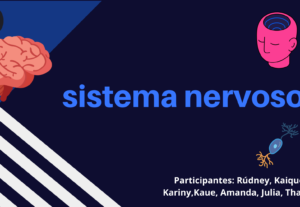 Eu vou fazer seu slide pelo canva