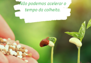 Eu vou fazer lindos Designs para suas Redes Sociais.