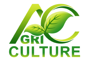 Eu vou fazer a logo do seu produto/marca