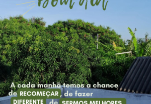 Eu vou ser a Social Media da sua empresa