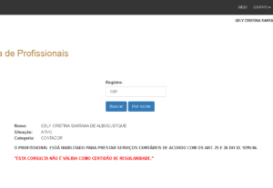 Eu vou fazer sua declaração irpf 2024