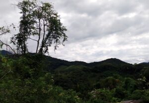 Eu vou gravar áudio para sua empresa.