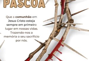 Eu vou criar cards, banners únicos.