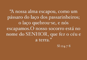 Eu vou Digitar textos e páginas