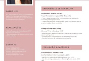 Eu vou fazer seu currículo de forma profissional