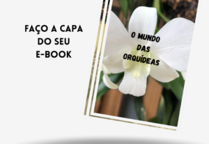Eu vou Eu fazer o seu e-book