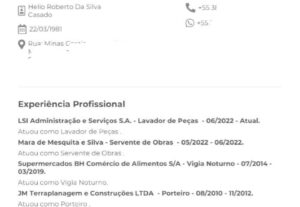 Eu vou montar um currículo profissional para você