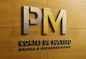 Eu vou Fazer sua logo proficional