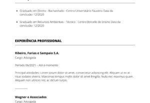 Eu vou fazer um currículo para você