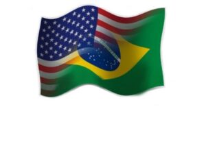 Eu vou Traduzir seu E-book para a língua que desejar/inglês ...