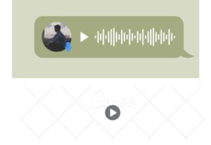 Eu vou digitar textos, transcrever vídeos e áudios para você