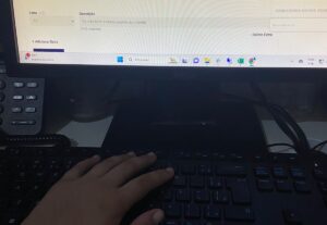 Eu vou digitar , corrigir ,traduzir textos em português.
