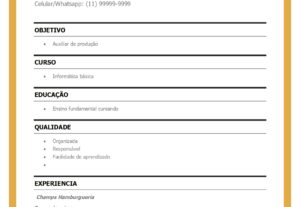 Eu vou elaborar seu Curriculo em 3 modelos/versões diferente...