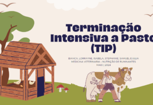 Eu vou criar suas apresentações de slide