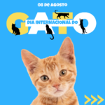 Eu vou fazer um pack de artes para o seu instagram