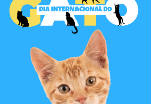Eu vou fazer um pack de artes para o seu instagram