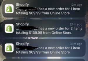 Eu vou criar uma loja virtual pra você na shopify